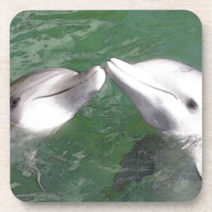 Dolphins Coaster