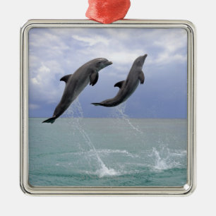 Dolphins Delfin (Grosser Tuemmler) Metal Ornament