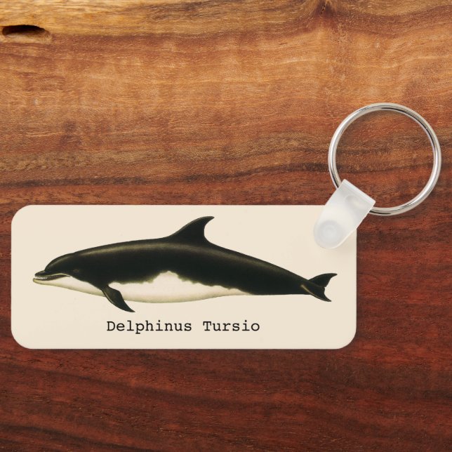 Dolphins Delphinus Tursio, Vintage Marine Animals Key Ring (Front)