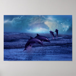 Dolphins fun and play poster