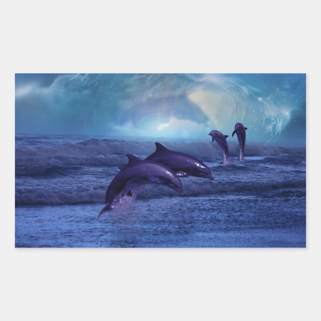 Dolphins fun and play rectangular sticker (Front)