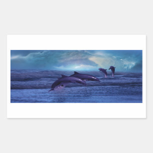 Dolphins fun and play rectangular sticker