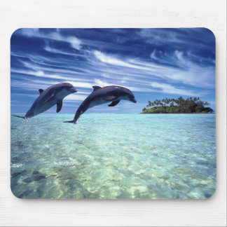 Dolphins Galore Mouse Pad