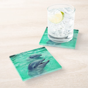 Dolphins Glass Coaster