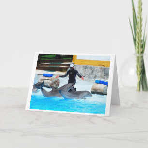Dolphins greet the trainer holiday card