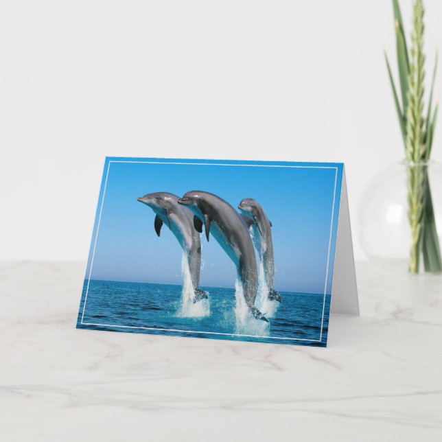 Dolphins Greeting Card (Front)