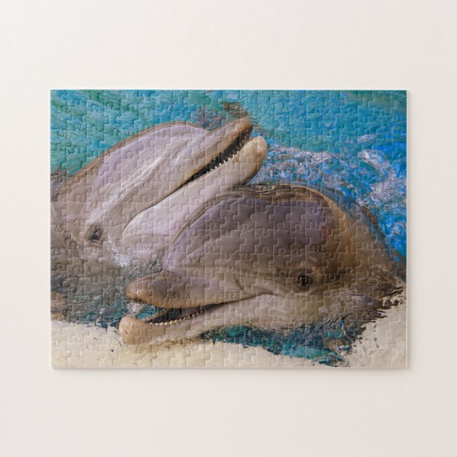 Dolphins in Nevada. Jigsaw Puzzle (Horizontal)