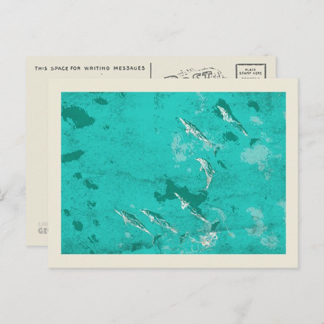 Dolphins in the Caribbean sea Postcard (Front/Back)