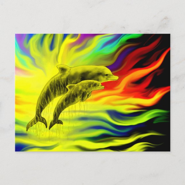 Dolphins in the Sunshine Postcard (Front)