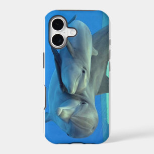 Dolphins iPhone Case