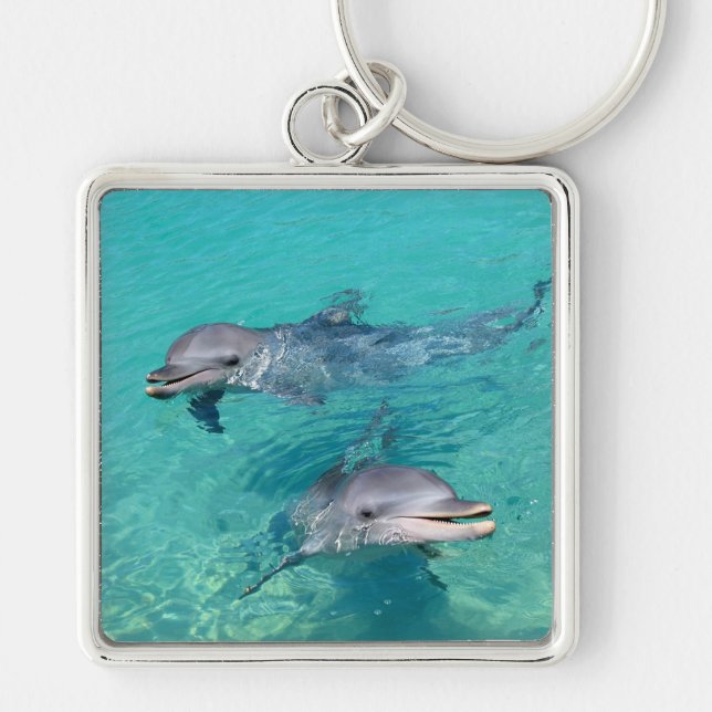 Dolphins Key Ring (Front)