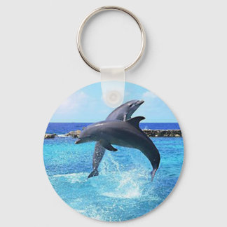 Dolphins Key Ring