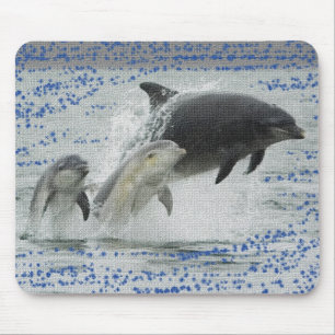 Dolphins Mouse Pad