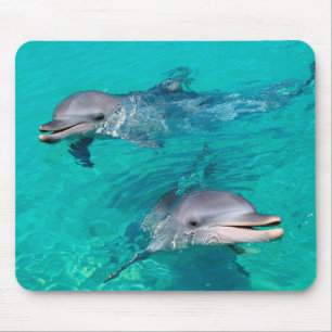 Dolphins Mouse Pad