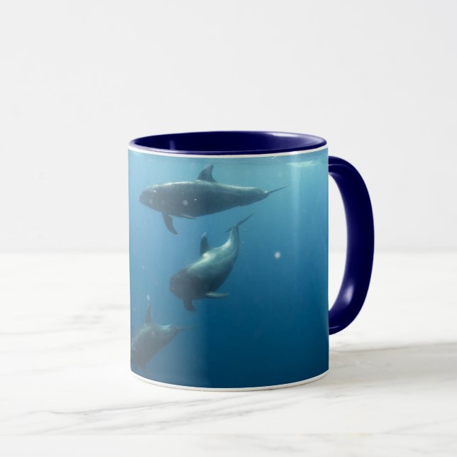 Dolphins  mug (Front Right)