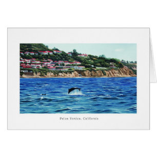 Dolphins Near Palos Verdes