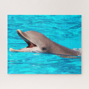 Dolphins of the seas jigsaw puzzle