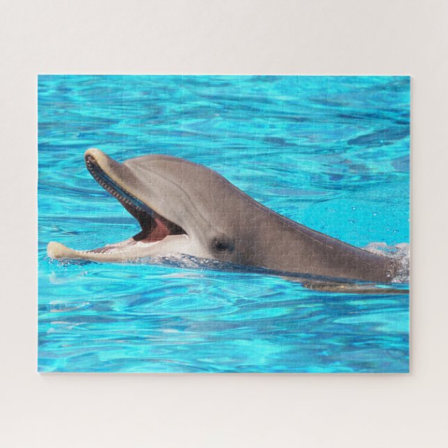 Dolphins of the seas jigsaw puzzle (Horizontal)