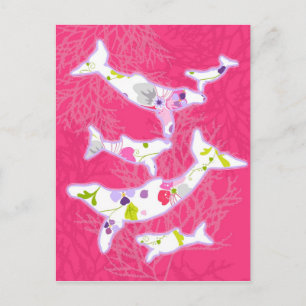 Dolphins on plain pink background. postcard