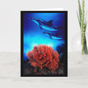 Dolphins over corals card