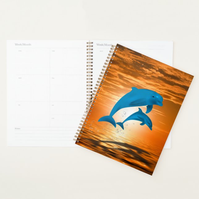 Dolphins Planner (Display)