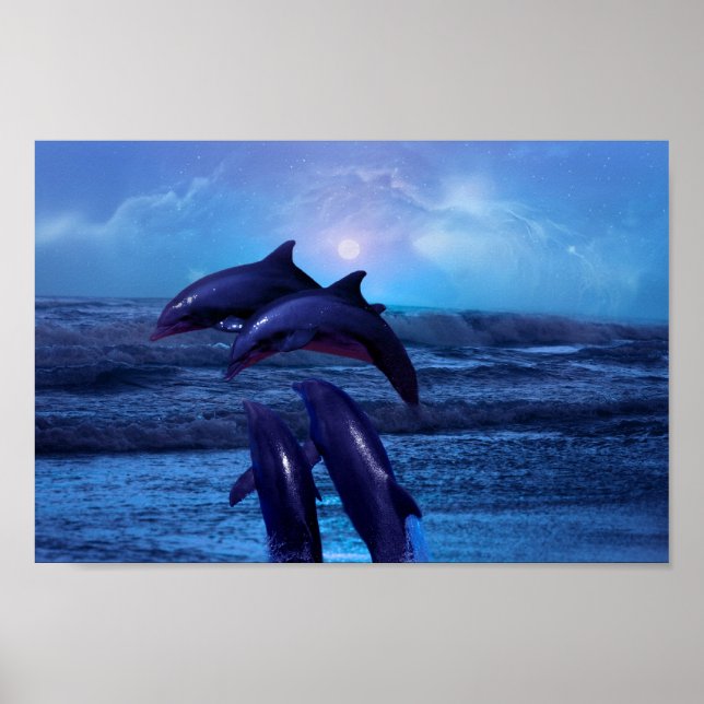 Dolphins playing in the ocean poster (Front)