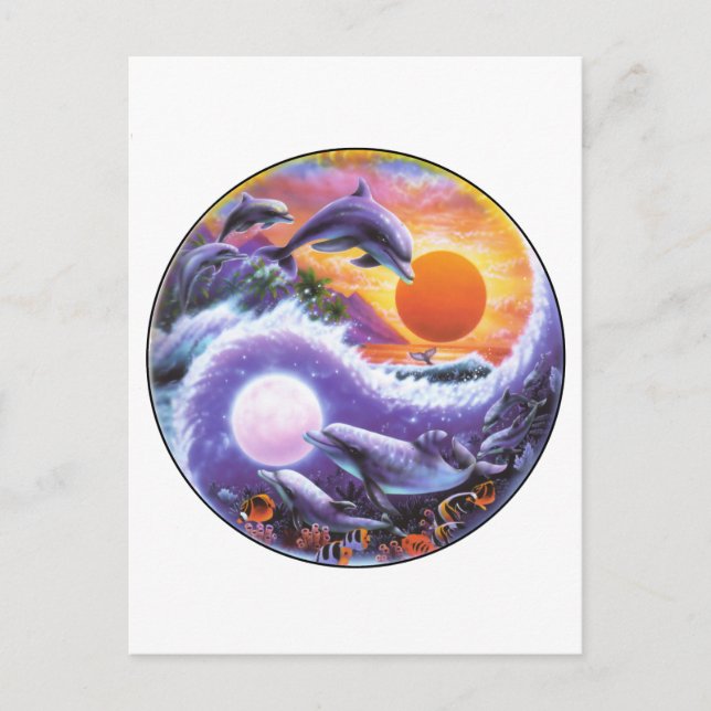 Dolphins Postcard (Front)