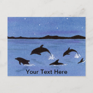 Dolphins Postcard