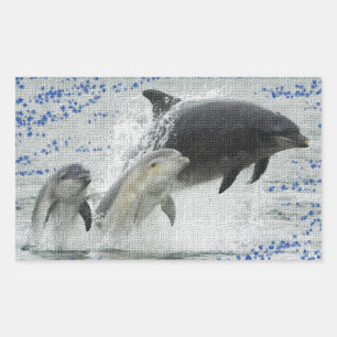 Dolphins Rectangular Sticker