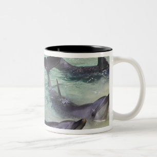 Dolphins, Sea World, Gold Coast, Queensland, Two-Tone Coffee Mug