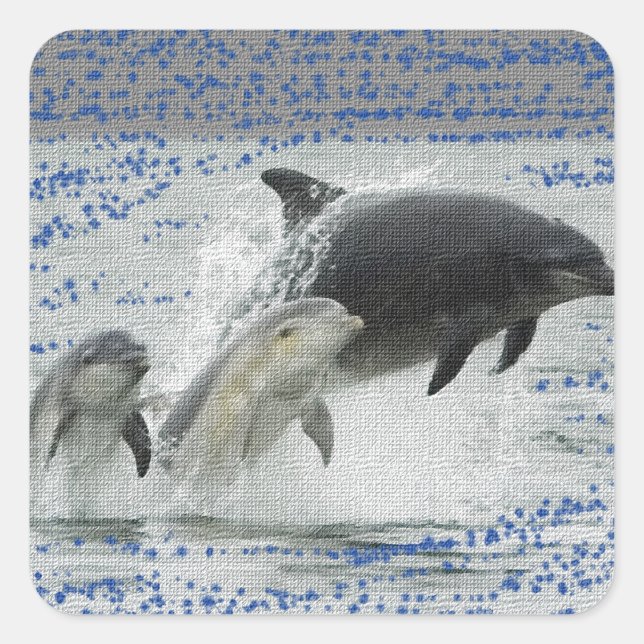 Dolphins Square Sticker (Front)