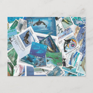 dolphins stamps postcard
