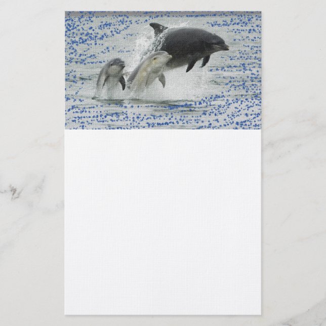 Dolphins Stationery (Front)