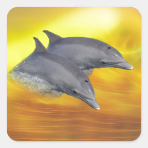 Dolphins surfing the waves square sticker