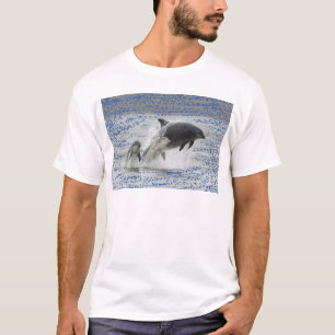 Dolphins T-Shirt