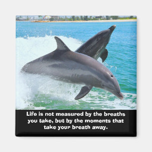 Dolphins Take Your Breath Away Magnet