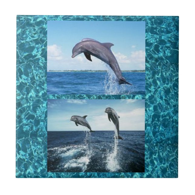 dolphins tile (Front)