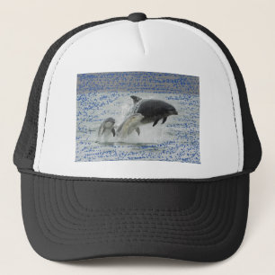 Dolphins Trucker Hat
