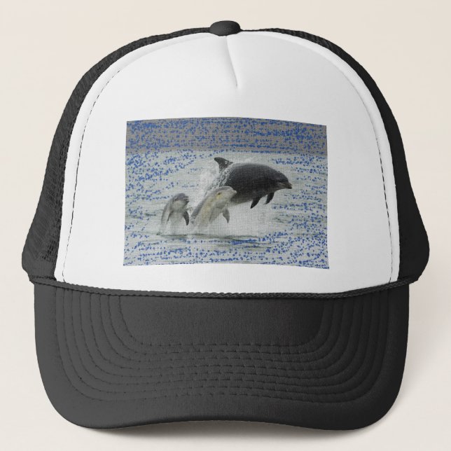 Dolphins Trucker Hat (Front)