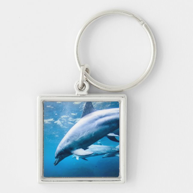 Dolphins Underwater Key Ring (Front)