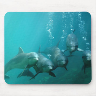 Dolphins Underwater Mouse Pad