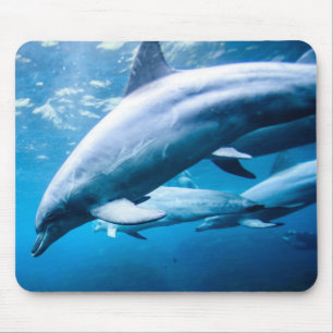 Dolphins Underwater Mouse Pad