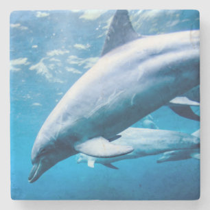 Dolphins Underwater Stone Coaster