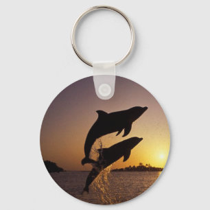Dolphins water fish jump splash tropical island key ring