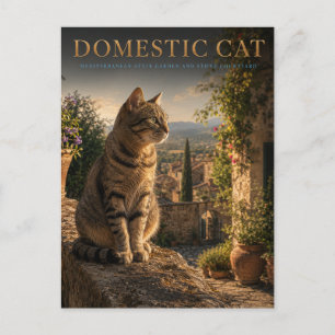 Domestic Cat Garden Courtyard ANIMALS Postcard