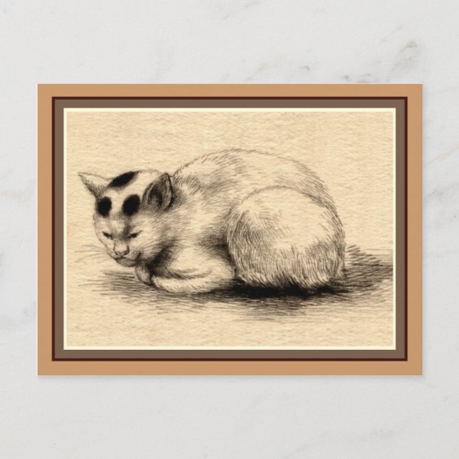 Domestic Cat Japanese Ink Drawing Postcard (Front)