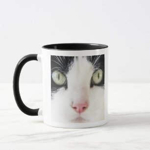 Domestic cat portrait mug