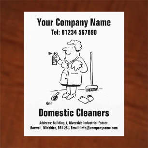 Domestic Cleaning Cartoon Design Flyer