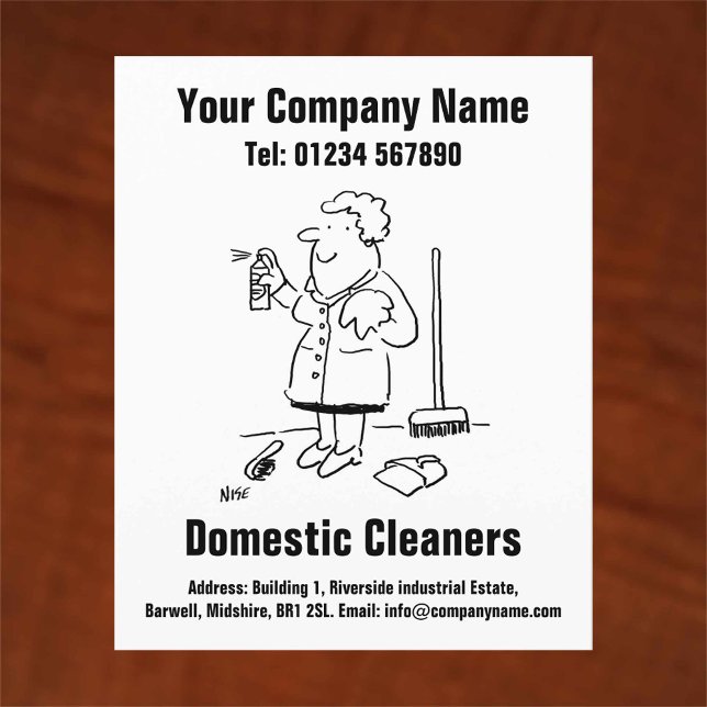 Domestic Cleaning Cartoon Design Flyer (Creator Uploaded)