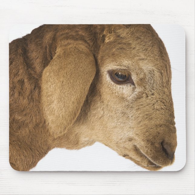 Domestic lamb mouse pad (Front)